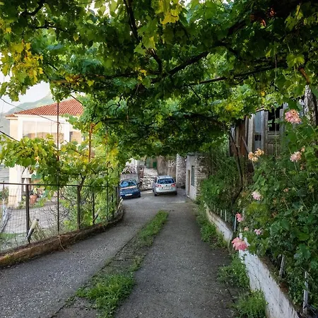 Panoramic View House カントリーハウス Tepelenë