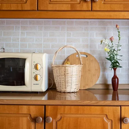 Panoramic View House カントリーハウス Tepelenë