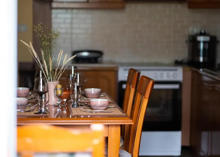 Panoramic View House Casa rural Tepelene