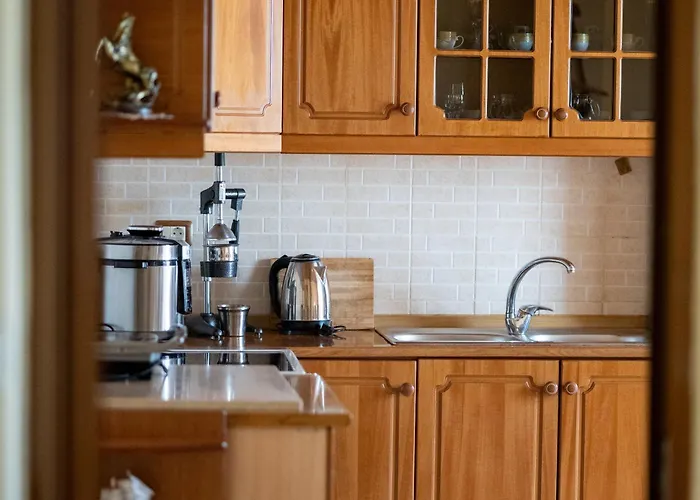 Panoramic View House Casa rural Tepelene